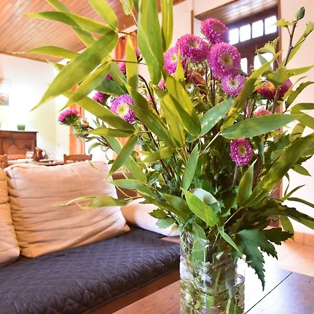 Quaint In Berbigui Res Valley Of The Castles At 15min Holiday home Saint-Germain-de-Belves