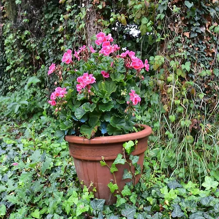 Quaint In Berbiguieres, Valley Of The Castles At 15min Nyaraló Saint-Germain-de-Belvès